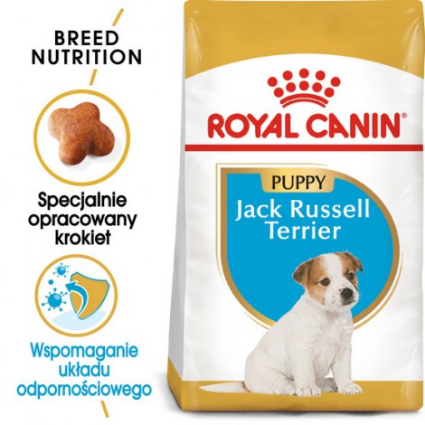 Royal Canin Jack Russell Terrier Puppy karma sucha dla szczeniąt do 10 miesiąca, rasy jack russell terrier 500g - 2