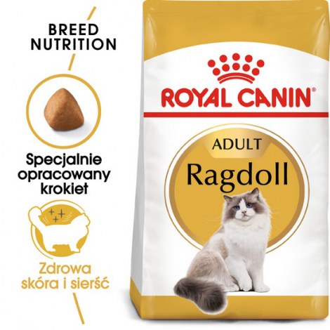 Royal Canin Ragdoll Adult karma sucha dla kotów dorosłych rasy ragdoll 2kg