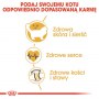 Royal Canin Ragdoll Adult karma sucha dla kotów dorosłych rasy ragdoll 2kg - 5