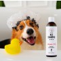 PETS Pet Shampoo Argan Oil - Szampon arganowy 250ml - 3