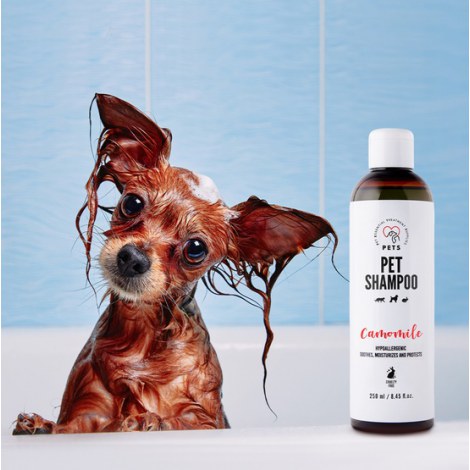 PETS Pet Shampoo Camomile - szampon rumiankowy 250ml - 2