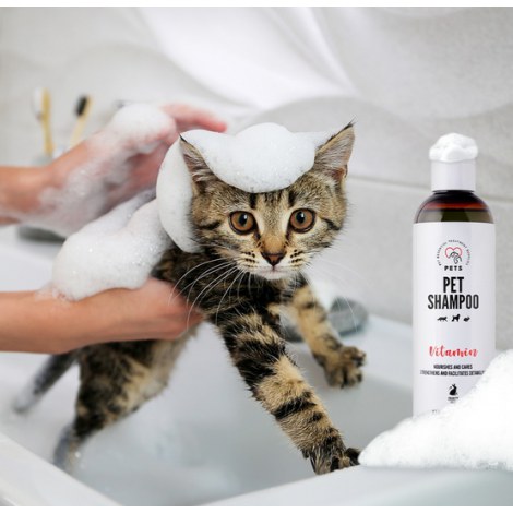 PETS Pet Shampoo Vitamin - szampon witaminowy 250ml - 3