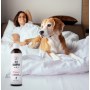 PETS Pet Shampoo Vitamin - szampon witaminowy 250ml - 3