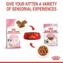 Royal Canin Kitten w galaretce karma mokra dla kociąt do 12 miesiąca życia saszetka 85g - 5