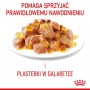 Royal Canin Hair & Skin Care karma mokra w galaretce dla kotów dorosłych, lśniąca sierść i zdrowa skóra saszetka 85g - 3