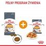Royal Canin Hair & Skin Care karma mokra w galaretce dla kotów dorosłych, lśniąca sierść i zdrowa skóra saszetka 85g - 6