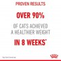 Royal Canin Light Weight Care w galaretce karma mokra dla kotów dorosłych, z tendencją do nadwagi saszetka 85g - 4