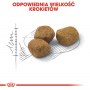 Royal Canin Fit karma sucha dla kotów dorosłych, wspierająca idealną kondycję 10kg - 6