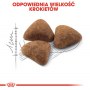 Royal Canin Indoor karma sucha dla kotów dorosłych, przebywających wyłącznie w domu 10kg - 7