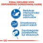 Royal Canin Indoor karma sucha dla kotów dorosłych, przebywających wyłącznie w domu 400g - 6
