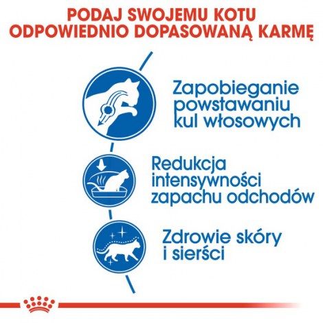 Royal Canin Indoor Long Hair karma sucha dla kotów dorosłych, długowłose, przebywających wyłącznie w domu 4kg - 4