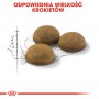Royal Canin Indoor Long Hair karma sucha dla kotów dorosłych, długowłose, przebywających wyłącznie w domu 4kg - 6