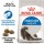Royal Canin Indoor Long Hair karma sucha dla kotów dorosłych, długowłose, przebywających wyłącznie w domu 4kg