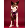 CHABA Szelki Guard Comfort Story III bezuciskowe M 1,6cm Lakota - 7