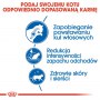 Royal Canin Indoor Long Hair karma sucha dla kotów dorosłych, długowłose, przebywających wyłącznie w domu 10kg - 5