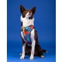 CHABA Szelki Guard Comfort Story III bezuciskowe S 1,6cm Aussie - 7