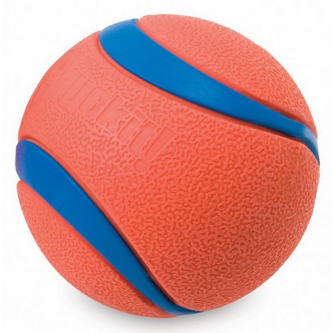 Chuckit! Ultra Ball XL [170401] - 2