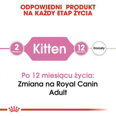 Royal Canin Kitten karma sucha dla kociąt od 4 do 12 miesiąca życia 10kg - 4