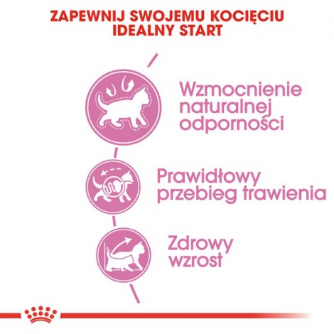 Royal Canin Kitten karma sucha dla kociąt od 4 do 12 miesiąca życia 10kg - 5