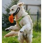 Dingo Zabawka dla psa - Szarpak Mop z rączką bungee niebieski - 3