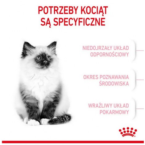 Royal Canin Kitten karma sucha dla kociąt od 4 do 12 miesiąca życia 4kg - 3