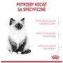 Royal Canin Kitten karma sucha dla kociąt od 4 do 12 miesiąca życia 4kg - 4