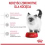 Royal Canin Kitten karma sucha dla kociąt od 4 do 12 miesiąca życia 4kg - 5