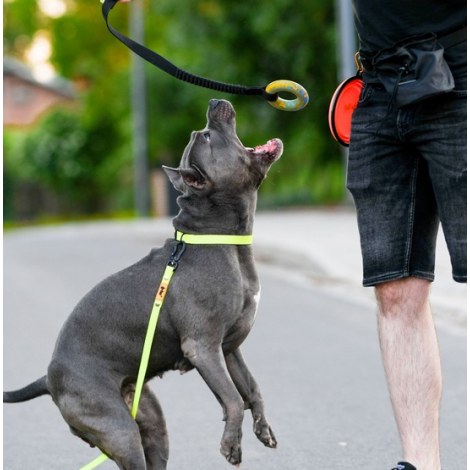 Dingo Zabawka dla psa - Szarpak Ringo z rączką bungee 10cm - 5