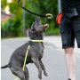 Dingo Zabawka dla psa - Szarpak Ringo z rączką bungee 10cm - 6