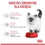 Royal Canin Kitten karma sucha dla kociąt od 4 do 12 miesiąca życia 400g - 5