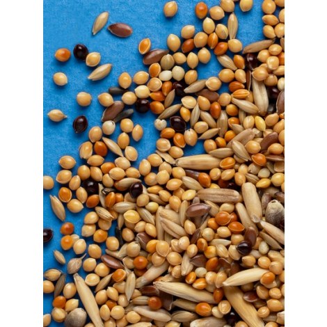 Rio Pokarm dla papużki falistej 1kg - 3