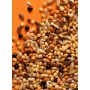 Rio Pokarm dla papużek falistych w okresie pierzenia 500g - 4
