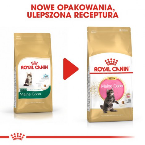 Royal Canin Maine Coon Kitten karma sucha dla kociąt, do 15 miesiąca, rasy maine coon 400g - 3
