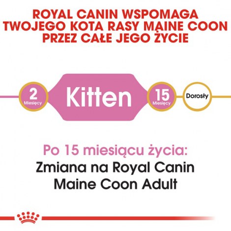 Royal Canin Maine Coon Kitten karma sucha dla kociąt, do 15 miesiąca, rasy maine coon 400g - 4