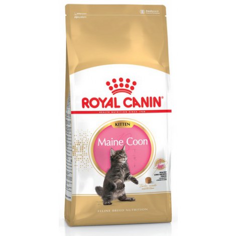 Royal Canin Maine Coon Kitten karma sucha dla kociąt, do 15 miesiąca, rasy maine coon 400g - 2