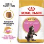 Royal Canin Maine Coon Kitten karma sucha dla kociąt, do 15 miesiąca, rasy maine coon 400g - 2