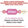 Royal Canin Maine Coon Kitten karma sucha dla kociąt, do 15 miesiąca, rasy maine coon 400g - 5