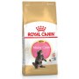 Royal Canin Maine Coon Kitten karma sucha dla kociąt, do 15 miesiąca, rasy maine coon 400g - 3