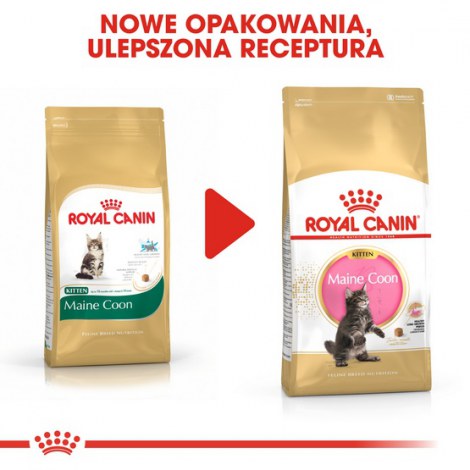 Royal Canin Maine Coon Kitten karma sucha dla kociąt, do 15 miesiąca, rasy maine coon 4kg - 3