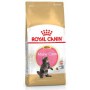 Royal Canin Maine Coon Kitten karma sucha dla kociąt, do 15 miesiąca, rasy maine coon 4kg - 3