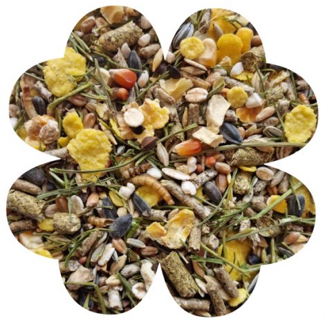 Alegia Enjoy Chomik 800g - 2