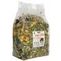 Alegia Mega Paka dla szynszyli 650g - 3