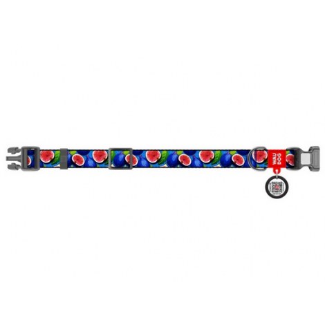 Collar WauDog Nylon Obroża nylonowa z QR-paszportem, plastikowy fastex, wzór FIGA, M 20mm/28-40cm - 2