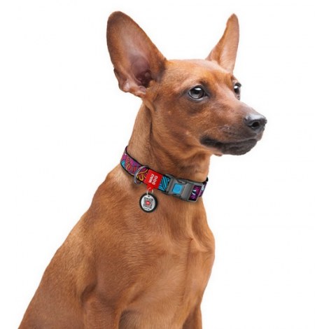 Collar WauDog Nylon Obroża nylonowa z QR-paszportem, plastikowy fastex, wzór LATO, 15mm/25-35cm - 4