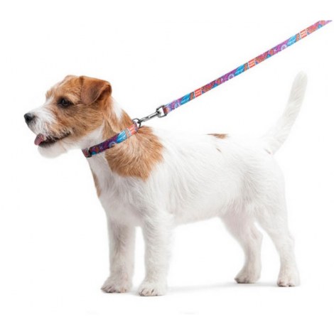 Collar WauDog Nylon Obroża nylonowa z QR-paszportem, plastikowy fastex, wzór LATO, 20mm/28-40cm - 5