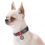 Collar WauDog Nylon Obroża nylonowa z QR-paszportem, plastikowy fastex, wzór LATO, 25mm/37-58cm - 4