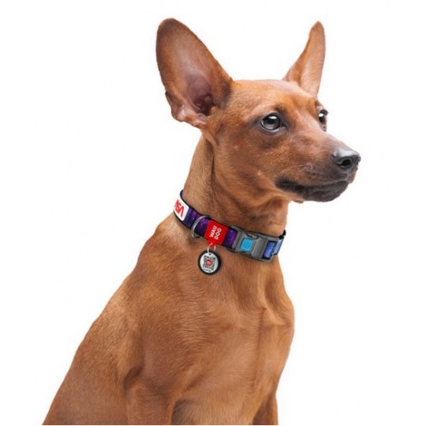 Collar WauDog Nylon Obroża nylonowa z QR-paszportem, plastikowy fastex, wzór NASA, 15mm/25-35cm - 4