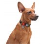 Collar WauDog Nylon Obroża nylonowa z QR-paszportem, plastikowy fastex, wzór POMARAŃCZE, 20mm/28-40cm - 5