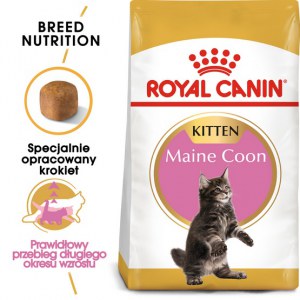 Royal Canin Maine Coon Kitten karma sucha dla kociąt, do 15 miesiąca, rasy maine coon 10kg