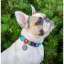 Collar WauDog Recycled Obroża nylonowa z QR-paszportem, gradient M 20mm x 28-40cm niebieski - 4
